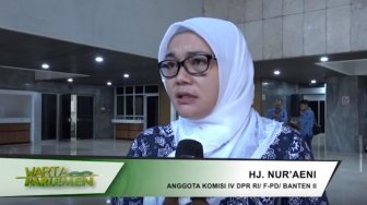 Komisi IV Tolak Rencana Impor Garam Industri