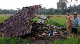 JEGEERRRR! Cewek Disambar Petir di Sawah, Leher dan Punggung Terbakar