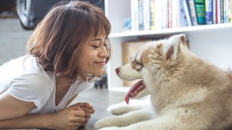 Punya Kebutuhan Nutrisi Berbeda, Ini Tips Bagi Pemilik Anabul Untuk Pilih Makanan Anjing