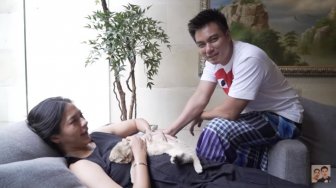 Paula Ditegur Warganet karena Main Kucing, Benarkah Bulu Kucing Berbahaya?