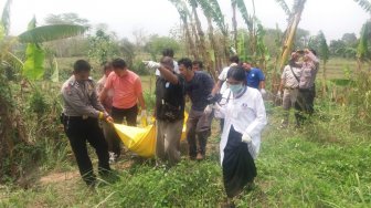 Heboh! Mayat Pria Berbaju Greenlight Tergeletak di Perkebunan Milik Dimyati