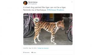 Petani di India Ramai-ramai Cat Anjing Jadi Mirip Harimau, Ini Alasannya