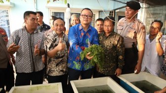 KKP Kembangkan Sentra Budidaya Udang Rumput Laut Berorientasi Ekspor