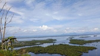 Asyik, Festival Danau Sentarum Bakal Digelar Desember 2021