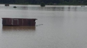 Sekitar 224 Hektare Sawah di Kuansing Terendam Banjir
