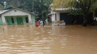 Luas Sawah Terendam Banjir di Kuansing Mencapai 360 Hektare