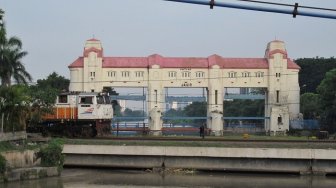 Terkenal Angker, Pintu Air Jagir Surabaya Dijaga Sosok Buaya Putih?