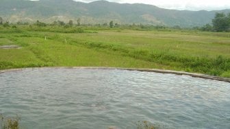 Main ke Tapanuli Utara, Jangan Lupa Berendam di Air Soda Tarutung