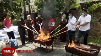 pemerintah siapkan jutaan bibit tanaman  ibu kota