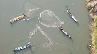 Pemprov Jatim Kalah Gugatan, Ecoton: Ikan Mati Massal Terjadi Sejak 2012