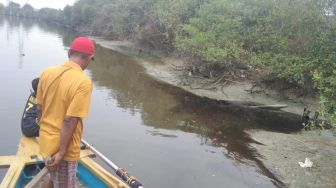 Puluhan Ikan di Kali Lamong Mati, Diduga Tercemar Limbah Pabrik dan Lindi
