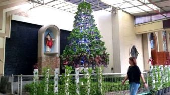 Uniknya Pohon Natal Hidroponik di Gereja Kristus Raja Surabaya