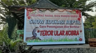 Libur Natal, Yuk Nonton Drama Teror Ular Kobra di Museum Reptil TMII!