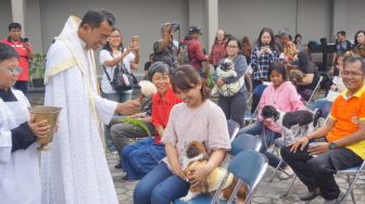 Melihat Uniknya Pemberkatan Hewan Peliharaan di Purwokerto