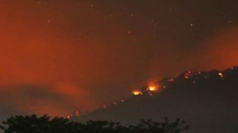 Empat Hari, 16 Hektare Hutan di Pudak Hangus Terbakar