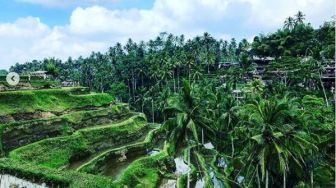 Masuk Keajaiban Alam di Dunia, Pesona Tempat Wisata di Bali Ini Luar Biasa