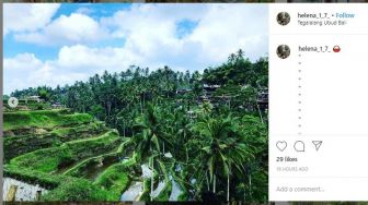 Cari Ketenangan, 6 Fakta Desa Nyambu di Bali dengan Nuansa Ramah Lingkungan