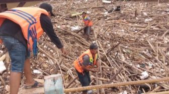 Ancam Banjir Perumahan di Bekasi, Sampah Bambu Bendungan Koja Dibersihkan