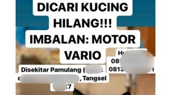 Viral, Sayembara Cari Kucing yang Hilang Ini Berhadiah Motor Vario