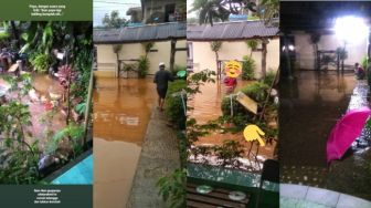 Finding Guppy, Kisah Papa Alfi Cari Ikan Kesayangan yang Terseret Banjir