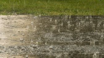 8 wilayah berpotensi hujan lebat 2-4 Januari, termasuk Sulut