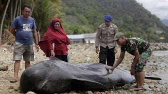 Sejumlah warga bersama anggota TNI dan Polri melihat bangkai paus pilot di pesisir pantai Desa Tolotio, Kabupaten Bone Bolango, Gorontalo, Sabtu (4/1).  [ANTARA FOTO/Adiwinata Solihin]