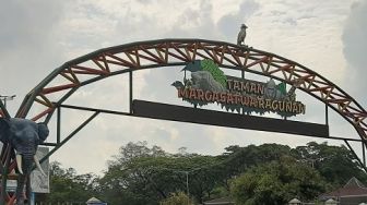 Pemprov DKI Pastikan Ragunan Hingga Tebet Eco Park Tutup Saat Lebaran, Buka Lagi Keesokan Harinya