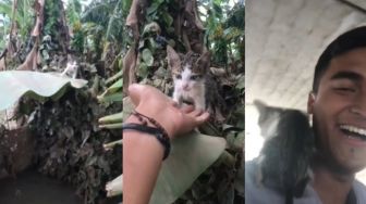 Viral Aksi Pria Selamatkan Kucing yang Terjebak Banjir Selama 2 Hari