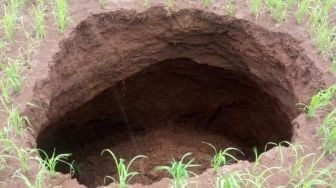 Fenomena Sinkhole Terjadi di Gunung Kidul, Begini Penampakannya