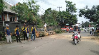 Pengendara Motor di Pandeglang Tewas Tertimpa Pohon Lamtoro