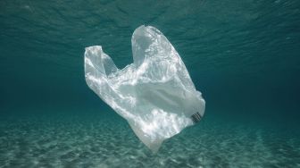 Viral Emak-emak Pede Buang Sampah di Laut, Pas Ditegur Malah Lakukan Ini
