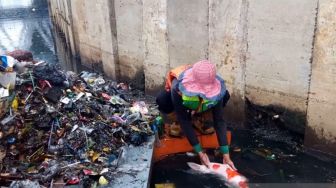 Pengangkut Sampah Temukan Ikan Koi di Tumpukan Sampah Kali Sekretaris