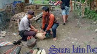 Polresta Sidoarjo Ciduk Judi Sabung Ayam Krian