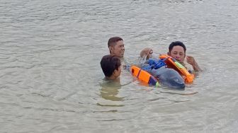 Lumba-lumba Ditemukan Terdampar di Pesisir Pantai Pandeglang