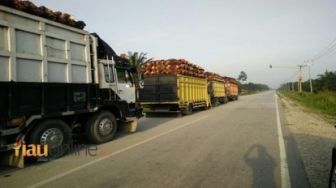 Ada 70 Ribu Truk Odol Beroperasi di Riau, Maret Akan Ditertibkan