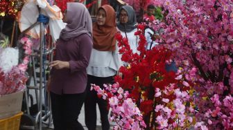 Calon pembeli melihat pohon bunga Meihua yang dijual di toko di kawasan pasar Asemka, Jalan Pintu Kecil, Jakarta Barat, Selasa (21/1). [Suara.com/Angga Budhiyanto]