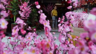 Calon pembeli melihat pohon bunga Meihua yang dijual di toko di kawasan pasar Asemka, Jalan Pintu Kecil, Jakarta Barat, Selasa (21/1). [Suara.com/Angga Budhiyanto]