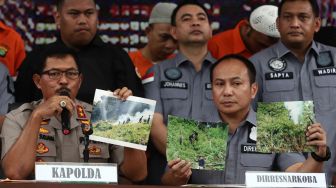 Tersangka beserta barang bukti ganja dihadirkan saat pengungkapan kasus narkotika jenis ganja selama dua bulan di Direktorat Reserse Kriminal Umum Polda Metro Jaya, Jakarta, Rabu (22/1). [Suara.comAngga Budhiyanto]
