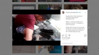 Viral Pemuda Bakar Kucing dan Makan Dagingnya, Alasannya Populasi Tinggi