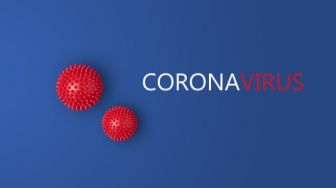 Update Corona Dunia: Selandia Baru Tandai 100 Hari Tanpa Ada Infeksi Baru