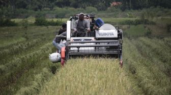 Klaim Hasil Tani Melimpah, Pemkab Gunungkidul Pastikan Kebutuhan Pokok Aman