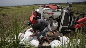 Pekerja memanen padi menggunakan mesin potong padi modern di areal persawahan Desa Galur, Kulonprogo, DI Yogyakarta, Kamis (23/1). [ANTARA FOTO/Hendra Nurdiyansyah]