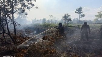 Kebakaran Lahan di Bengkalis Meluas