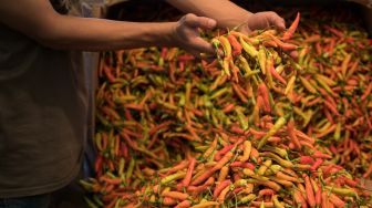 Ungkap Bahan Makanan Indonesia Terlaris di Belanda, Salah Satunya Cabai Rawit Rp300 Ribu per Kilogram