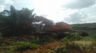 Lahan Sawit Dieksekusi, Legislator Minta PSJ Ganti Kebun Petani