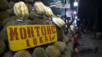 Aktivitas para pedagang Durian di Sentra Kuliner Durian Kalibata, Jakarta Selatan, Kamis (30/01).[Suara.com/Alfian Winanto]