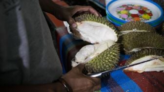 Kalahkan Durian Malaysia, Durian Asli Indonesia Laris Manis di China