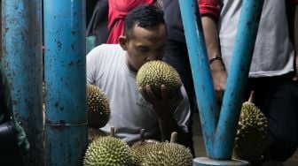 Ingin Menikmati Durian dan Strawberry di Banten? Datang Saja Ke Sini!