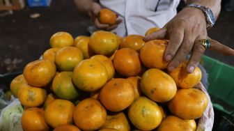 Aktivitas para pedagang buah-buahan di Blok buah pasar induk kramat jati, Jakarta Timur, Selasa (04/02). [Suara.com/Alfian Winanto]