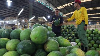 Aktivitas para pedagang buah-buahan di Blok buah pasar induk kramat jati, Jakarta Timur, Selasa (04/02). [Suara.com/Alfian Winanto]